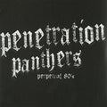 Penetration Panthers - Perpetual 80's - Vinyl Record