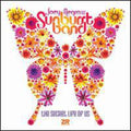Negro,joey & The Sunburst Band - Secret Life Of Us - Vinyl Record