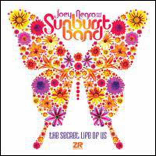 Negro,joey & The Sunburst Band - Secret Life Of Us - Vinyl Record