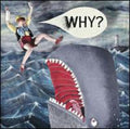 Why - Mumps Etc - Music CD