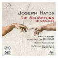 Haydn / Rubens / Kobow / Muller-brachmann - Die Schopfung - Super Audio CD