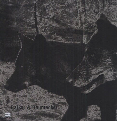 Barker & Baumecker - Transsektoral - Vinyl Record