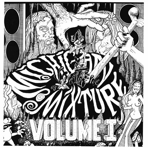 Michigan Mixture 1 / Various - Michigan Mixture 1 / Various - Vinyl Record