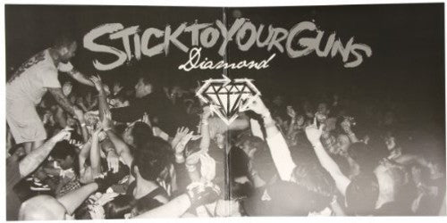 Stick To Your Guns - Diamond - Vinyl Record