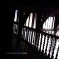 Dead Forest Index - Antique - Music CD