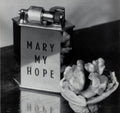 Mary My Hope - Museum - Vinyl Record