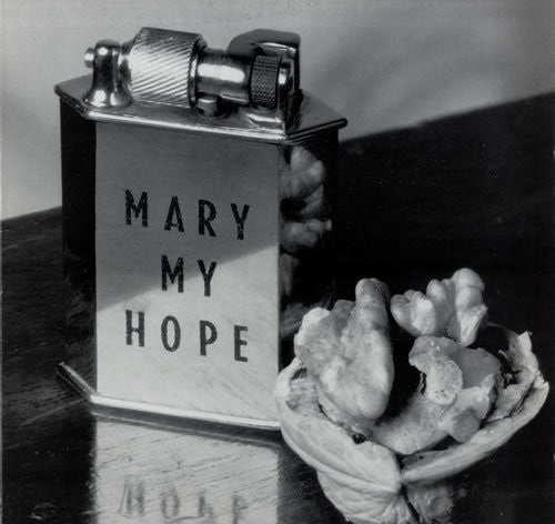 Mary My Hope - Museum - Vinyl Record