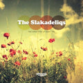 Slakadeliqs - Other Side Of Tomorrow - Music CD