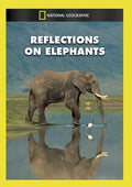 Reflections On Elephants - Reflections On Elephants - DVD