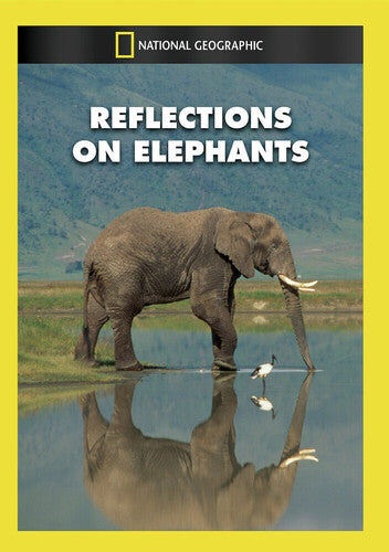 Reflections On Elephants - Reflections On Elephants - DVD