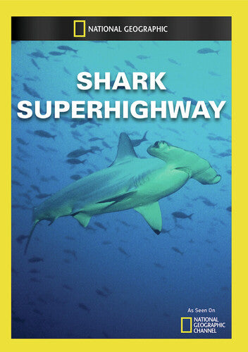Shark Superhighway - Shark Superhighway - DVD