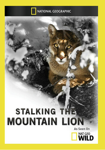 Stalking The Mountain Lion - Stalking The Mountain Lion - DVD