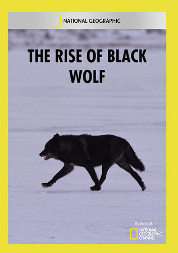 Rise Of Black Wolf - Rise Of Black Wolf - DVD