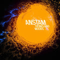 Anstam - Stones & Woods - Vinyl Record