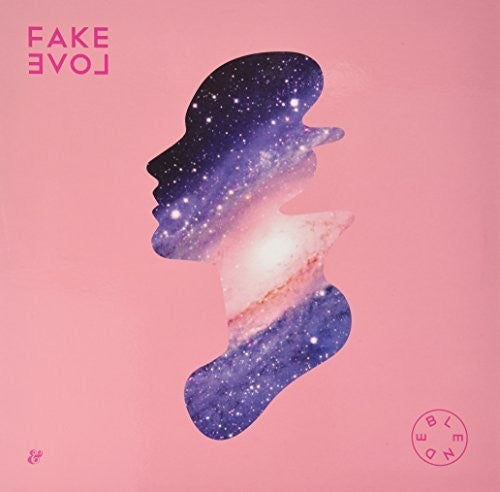 Blende - Fake Love - Vinyl Record