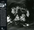 Phantom Orchard Orchestra - Trouble In Paradise - Music CD