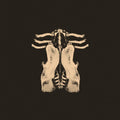 Oktoplut - Pansements - Music CD