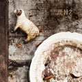 Adamus,bernard - No.2 - Vinyl Record