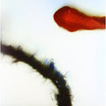 Stubborn Heart - Stubborn Heart - Vinyl Record