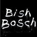 Walker,scott - Bish Bosch - Vinyl Record