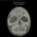 Bonnie Prince Billy - I See A Darkness - Music CD