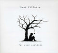 Fillatre,brad - For Your Weakness - Music CD