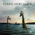 Newcomer,carrie - Permeable Life - Music CD