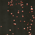 Container - Lp - Vinyl Record