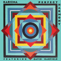 Karizma - Perfect Harmony - Music CD