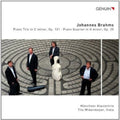 Brahms / Munchner Klaviertrio / Widenmeyer - Piano Trio Piano Quartet - Music CD