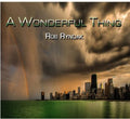 Ryndak,rob - Wonderful Thing - Music CD