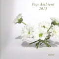 Pop Ambient 2013 / Various - Pop Ambient 2013 / Various - Vinyl Record