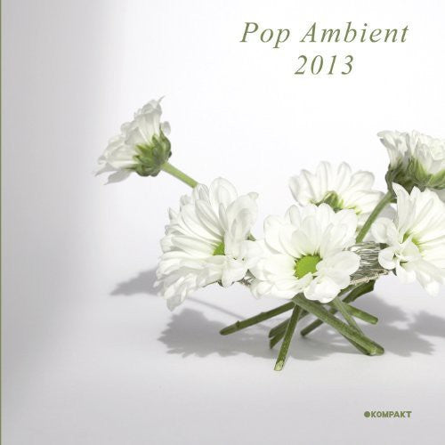 Pop Ambient 2013 / Various - Pop Ambient 2013 / Various - Vinyl Record