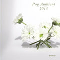 Pop Ambient 2013 / Various - Pop Ambient 2013 / Various - Music CD