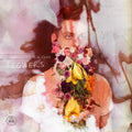 Sin Fang - Flowers - Vinyl Record