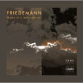 Friedemann - Echoes Of A Shattered Sky - Vinyl Record