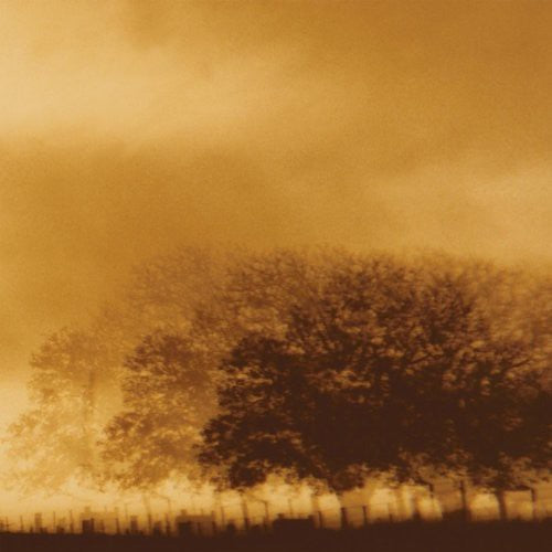 Infinite Light - Infinite Light - Vinyl Record