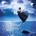 Wahler,david - Secret Dream - Music CD