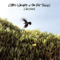 Wollard,chris & The Ship Thieves - Canyons - Music CD