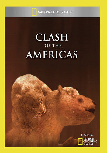 Clash Of The Americas - Clash Of The Americas - DVD