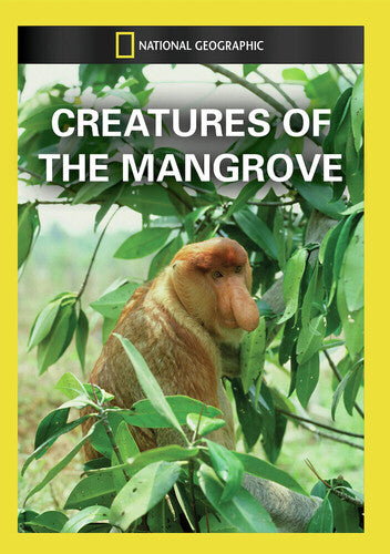 Creatures Of The Mangrove - Creatures Of The Mangrove - DVD