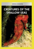 Creatures Of The Shallow Seas - Creatures Of The Shallow Seas - DVD