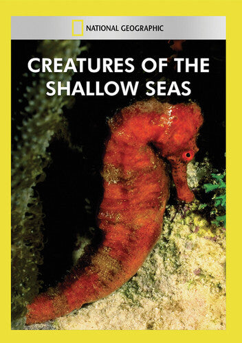 Creatures Of The Shallow Seas - Creatures Of The Shallow Seas - DVD