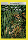 Hidden World Of The Bengal Tiger - Hidden World Of The Bengal Tiger - DVD