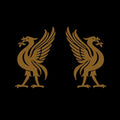 Cape,joey & Snodgrass,jon - Liverbirds - Music CD