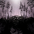 Birds Of Passage - This Kindly Slumber - Music CD