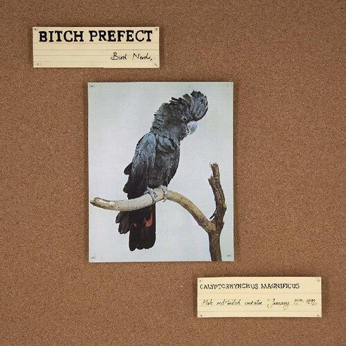 Bitch Prefect - Bird Nerds - Music CD