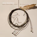 Pastorius,jaco - Modern American Music: Period Criteria Sessions - Music CD