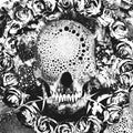 New Lows - Abhorrent Endings - Vinyl Record