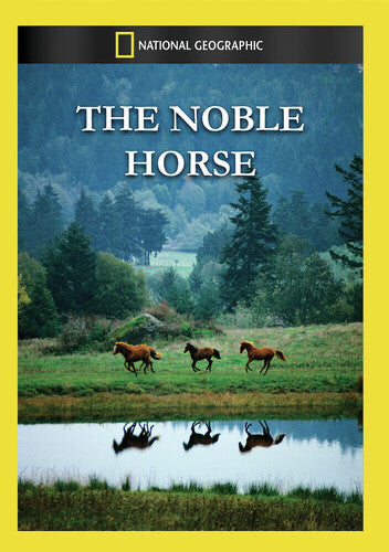 Noble Horse - Noble Horse - DVD